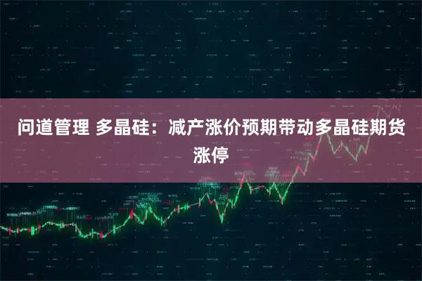 问道管理 多晶硅：减产涨价预期带动多晶硅期货涨停